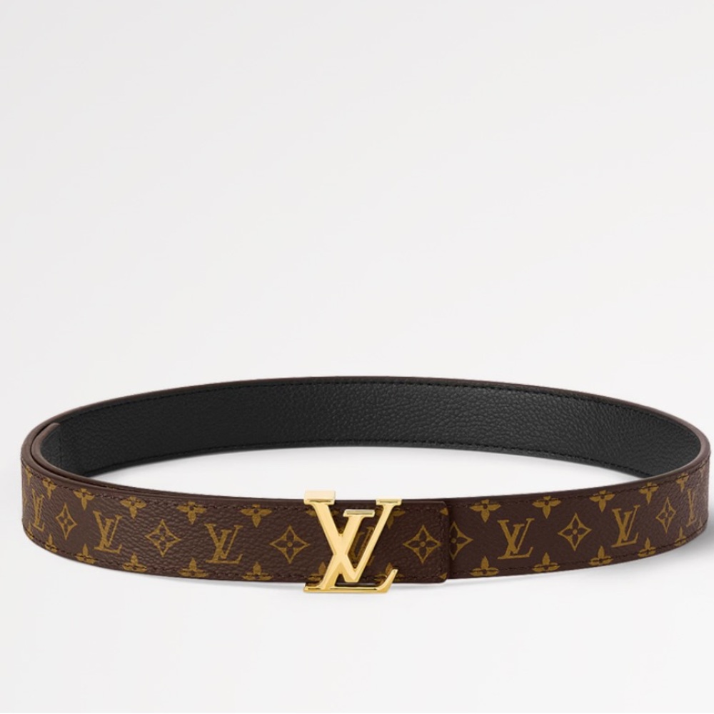 Louis Vuitton Gold and Brown Monogram Belt